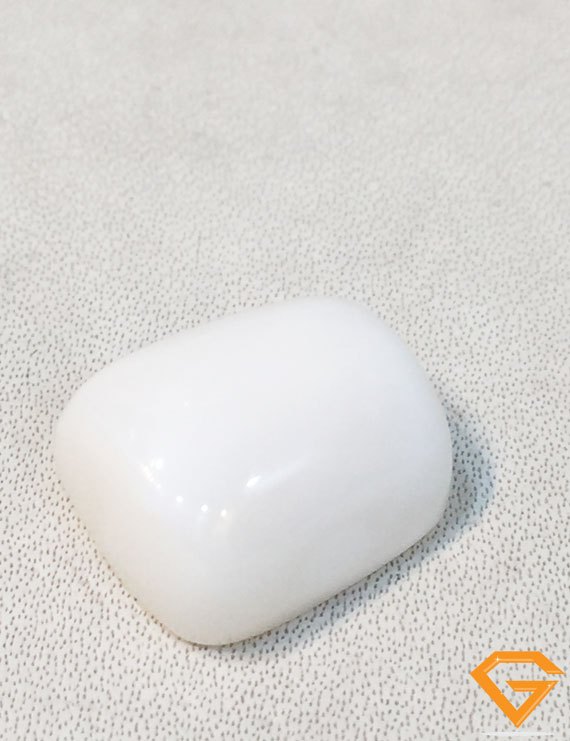 20.50 ratti/18.67 ct Natural Certified  White Coral/सफ़ेद मूंगा